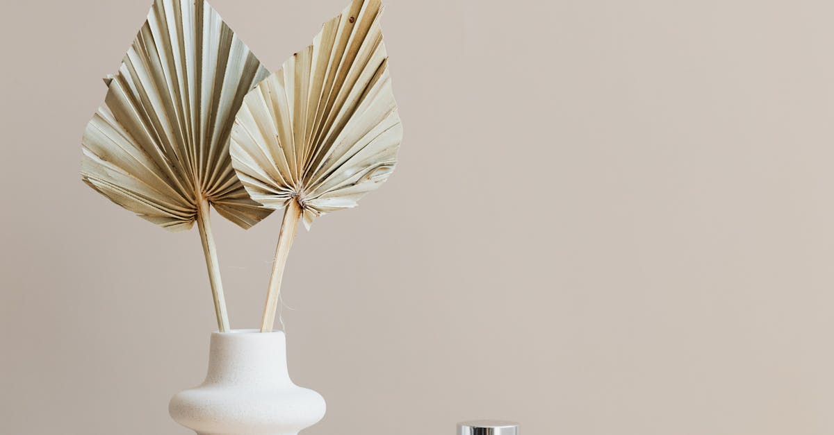 Essential Aftercare Steps Following a Chemical Peel